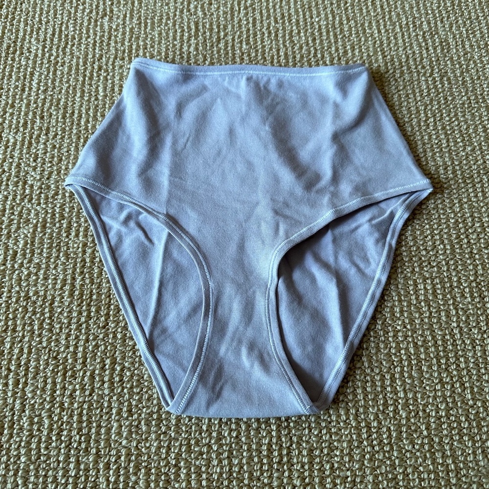 Skims Iris Mica Full Briefs, Size XS NWT
